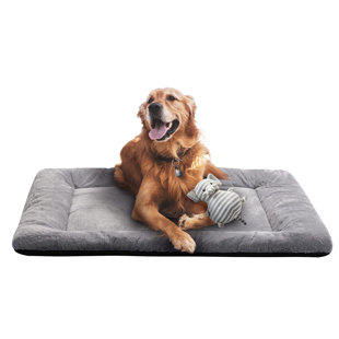 54 inch dog outlet crate bed